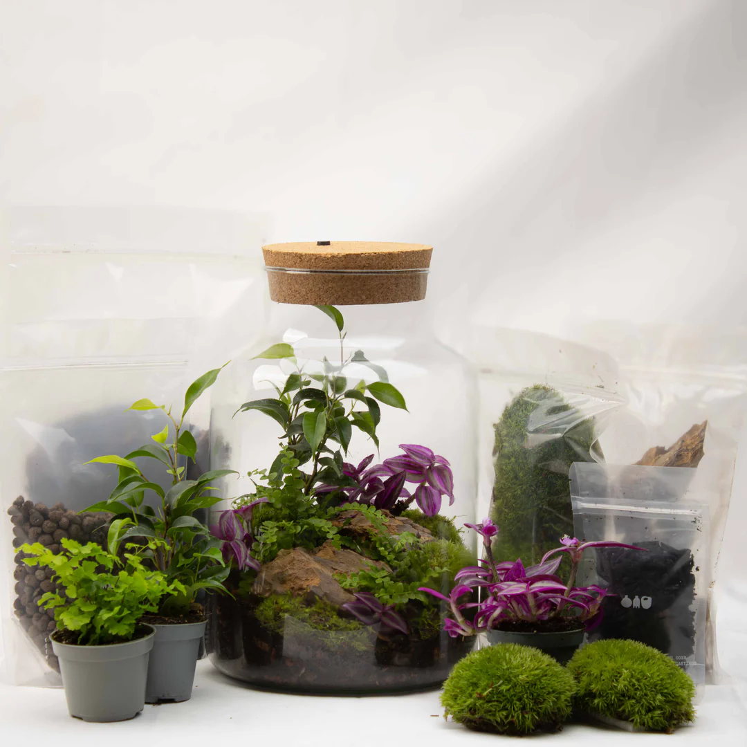 Bring Nature Home with Ome