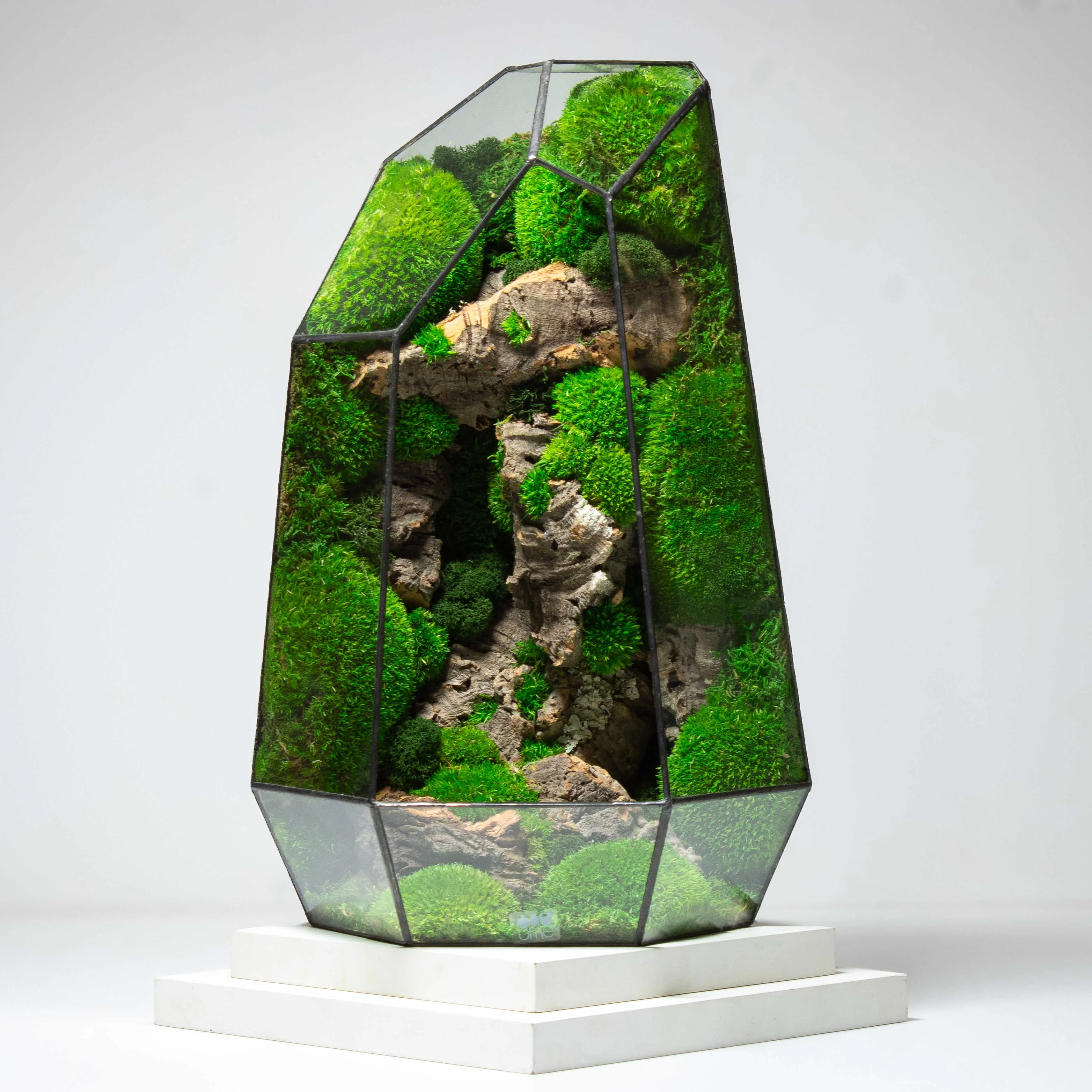 Moss Art